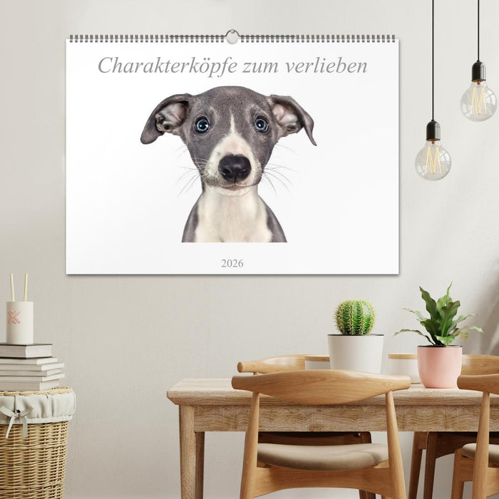 Charakterköpfe zum verlieben (CALVENDO Wandkalender 2026)