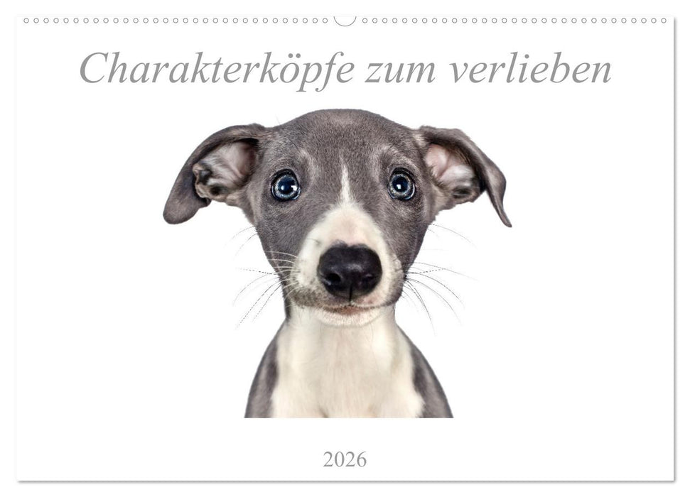 Charakterköpfe zum verlieben (CALVENDO Wandkalender 2026)