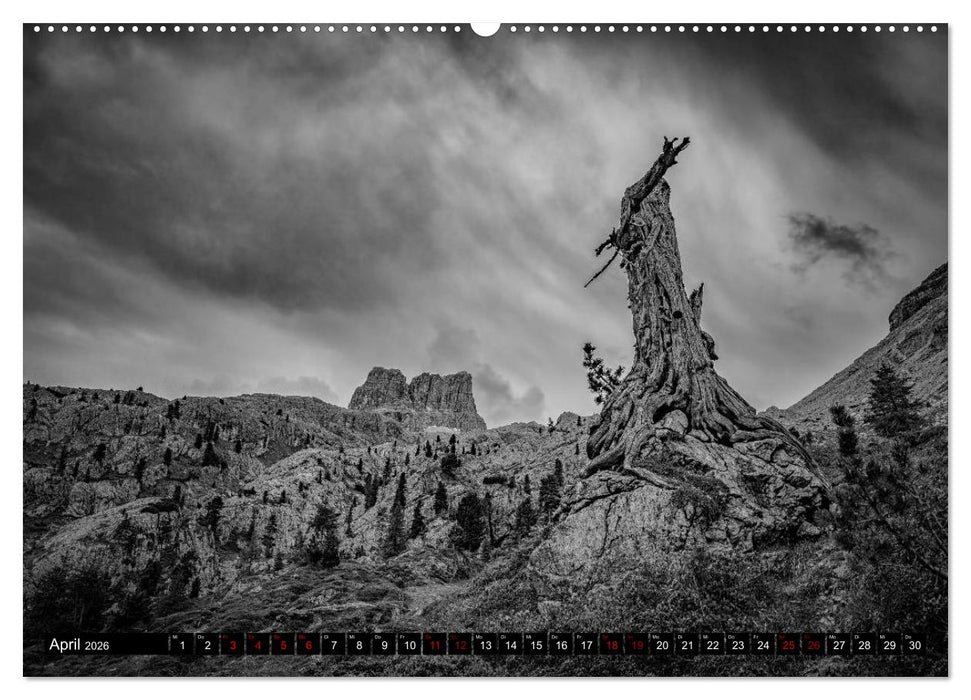 Dramatik in SW (CALVENDO Premium Wandkalender 2026)