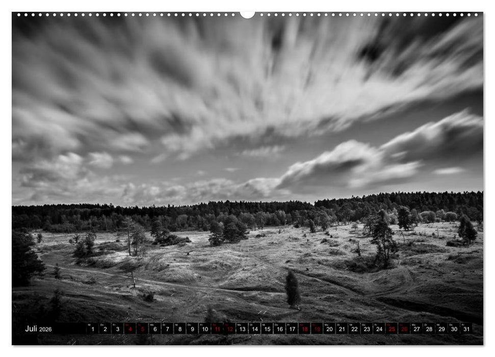 Dramatik in SW (CALVENDO Premium Wandkalender 2026)