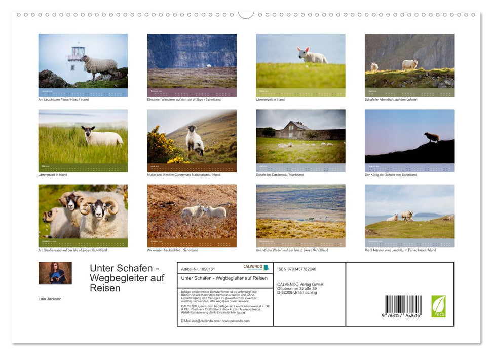 Unter Schafen - Wegbegleiter auf Reisen (CALVENDO Premium Wandkalender 2026)