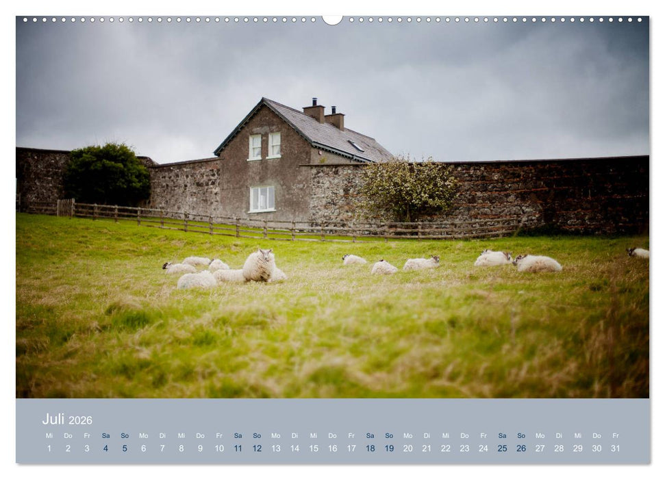 Unter Schafen - Wegbegleiter auf Reisen (CALVENDO Premium Wandkalender 2026)