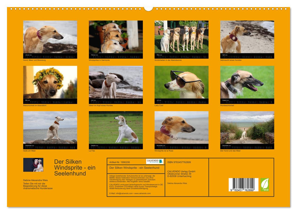 Der Silken Windsprite - ein Seelenhund (CALVENDO Premium Wandkalender 2026)