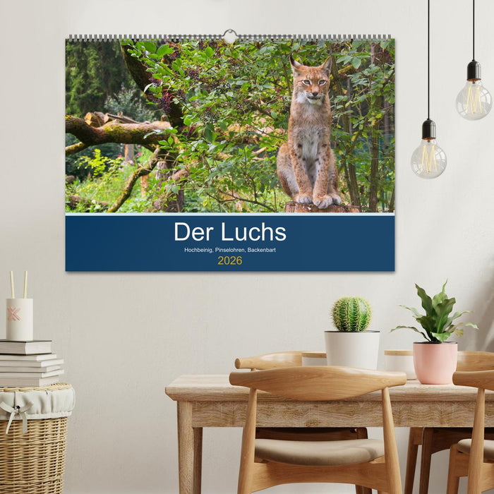 Der Luchs - Hochbeinig, Pinselohren, Backenbart (CALVENDO Wandkalender 2026)