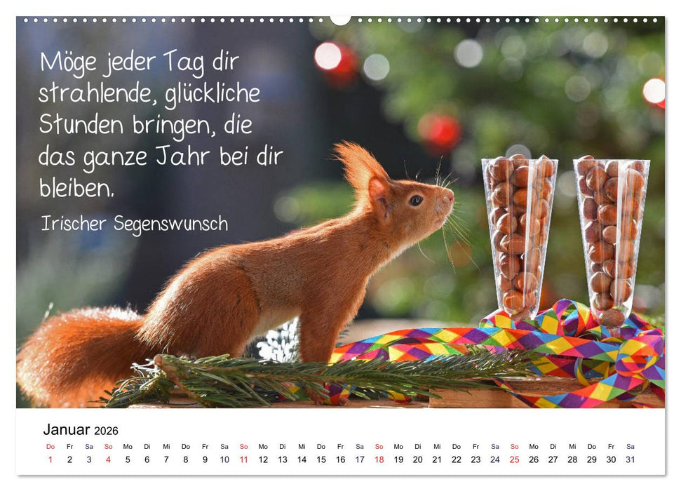 Der literarische Eichhörnchen-Kalender (CALVENDO Premium Wandkalender 2026)