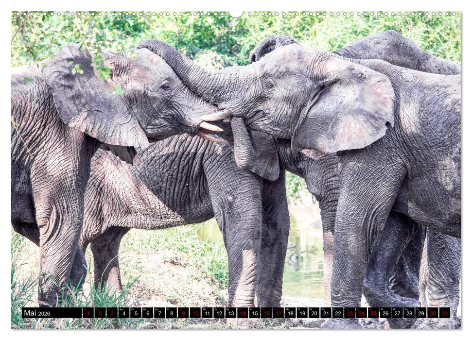 Südafrika - Urlaubsimpressionen (CALVENDO Premium Wandkalender 2026)