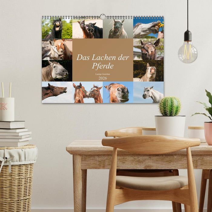 Das Lachen der Pferde - Lustige Gesichter (CALVENDO Wandkalender 2026)