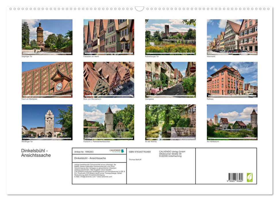 Dinkelsbühl - Ansichtssache (CALVENDO Wandkalender 2026)