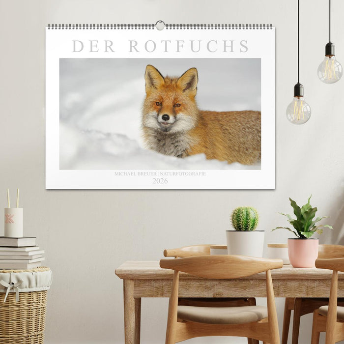 Der Rotfuchs (CALVENDO Wandkalender 2026)