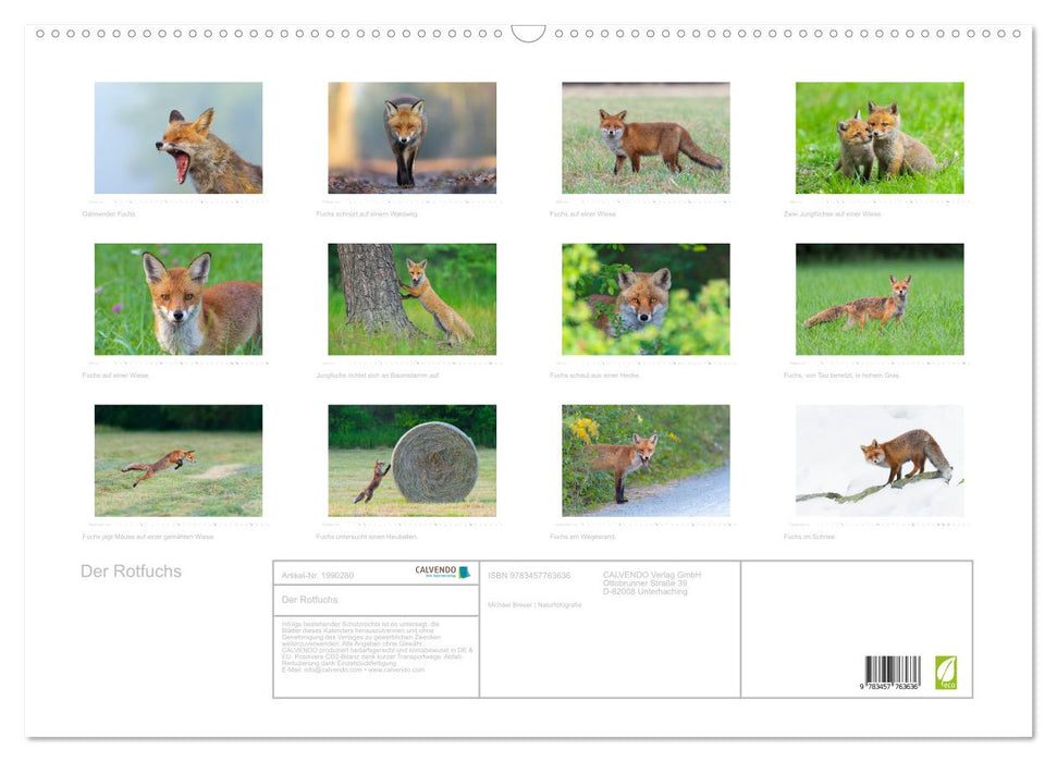 Der Rotfuchs (CALVENDO Wandkalender 2026)