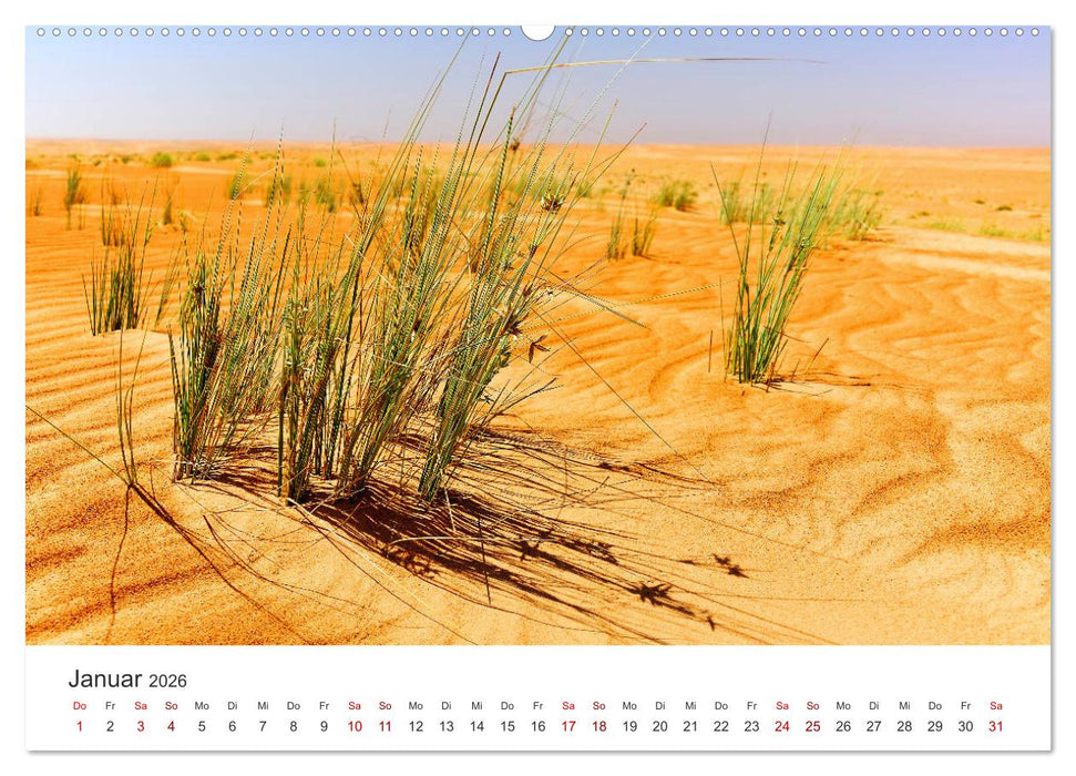 Relax, Momente der Ruhe (CALVENDO Premium Wandkalender 2026)