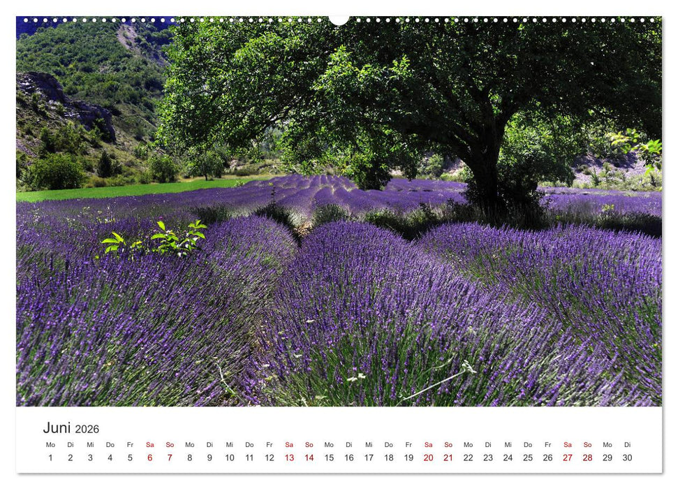 Relax, Momente der Ruhe (CALVENDO Premium Wandkalender 2026)