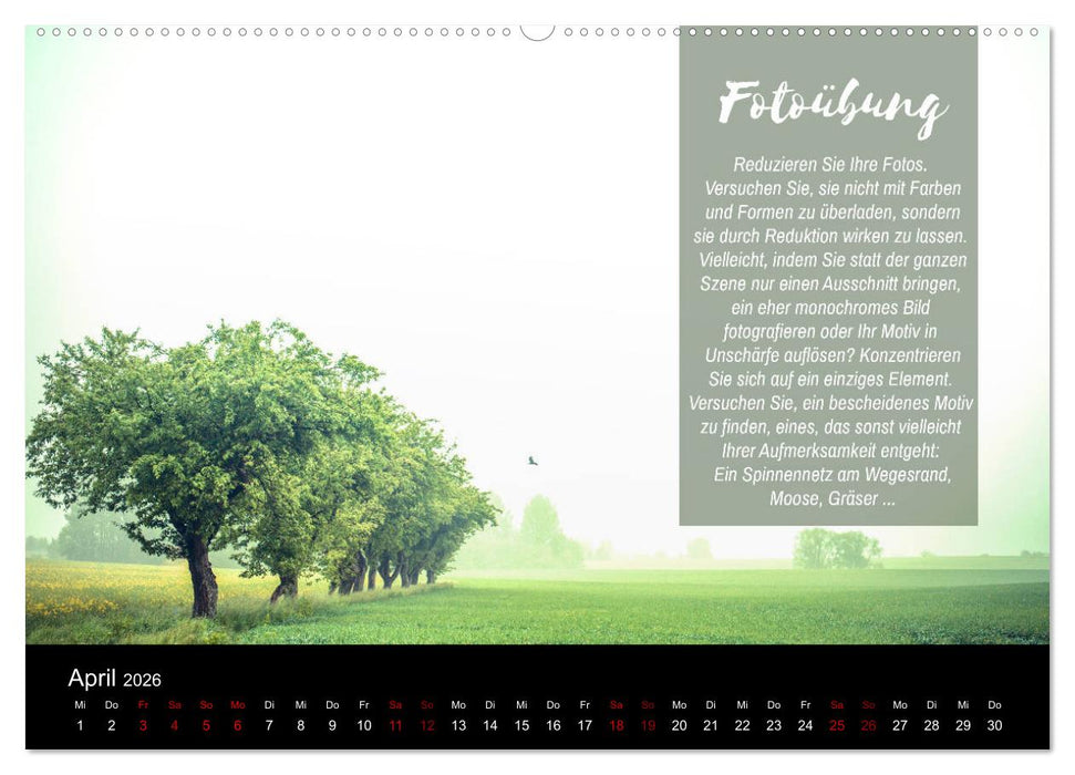 Die Schönheit der Natur - Naturfotografie-Kalender mit Foto- und Kreativübungen (CALVENDO Premium Wandkalender 2026)