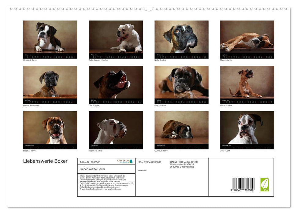 Liebenswerte Boxer (CALVENDO Premium Wandkalender 2026)