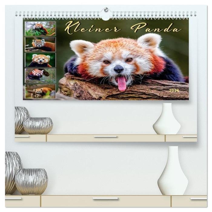 Kleiner Panda (CALVENDO Premium Wandkalender 2026)