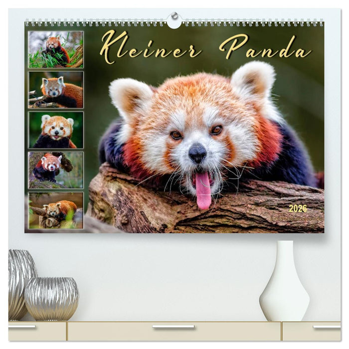Kleiner Panda (CALVENDO Premium Wandkalender 2026)