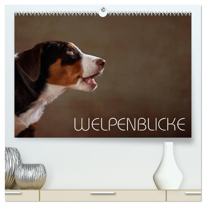 Welpenblicke (CALVENDO Premium Wandkalender 2026)