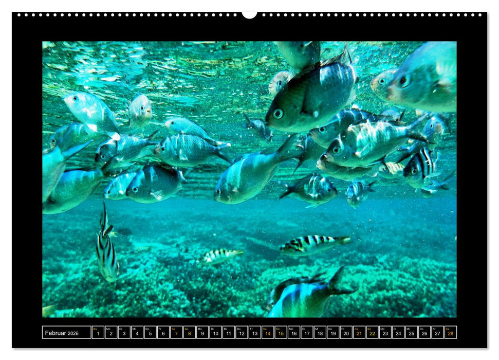 Bali - Details (CALVENDO Premium Wandkalender 2026)