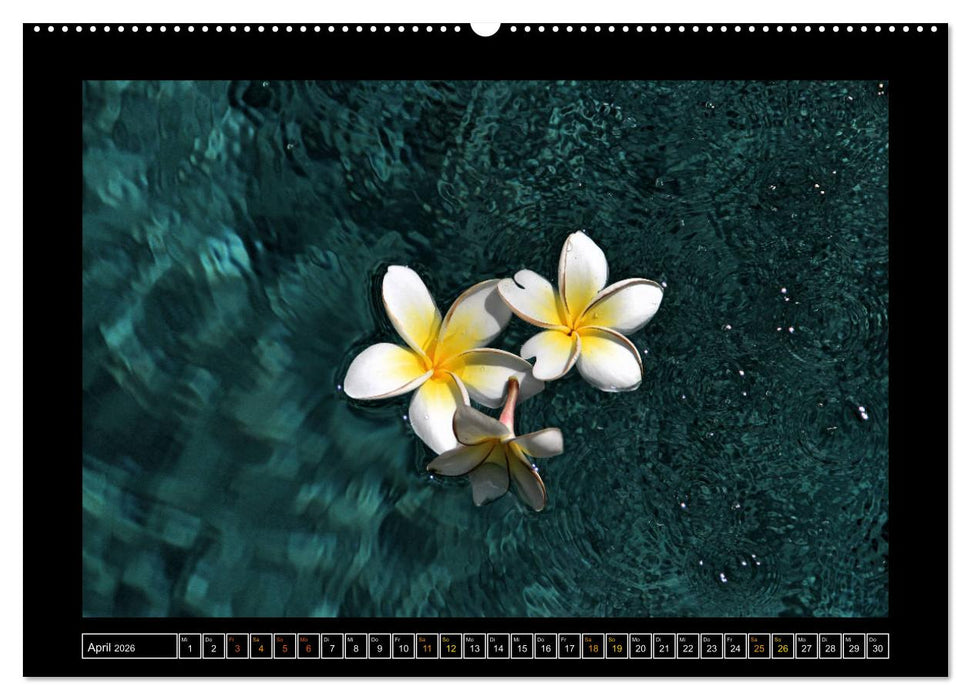 Bali - Details (CALVENDO Premium Wandkalender 2026)