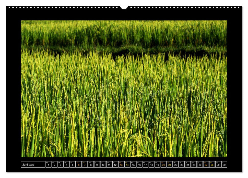 Bali - Details (CALVENDO Premium Wandkalender 2026)