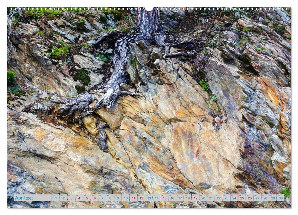 Schönes Südtirol (CALVENDO Premium Wandkalender 2026)