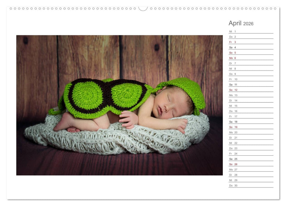 Aller Anfang ist klein - Babykalender mit Noah (CALVENDO Premium Wandkalender 2026)