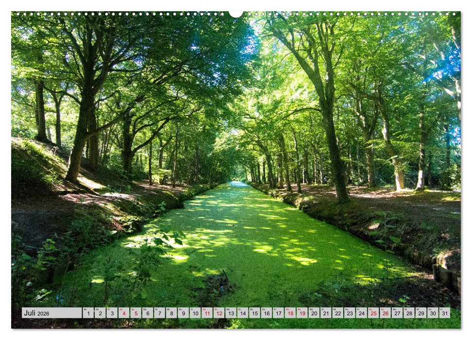 Ungewöhnliches Nordholland (CALVENDO Premium Wandkalender 2026)