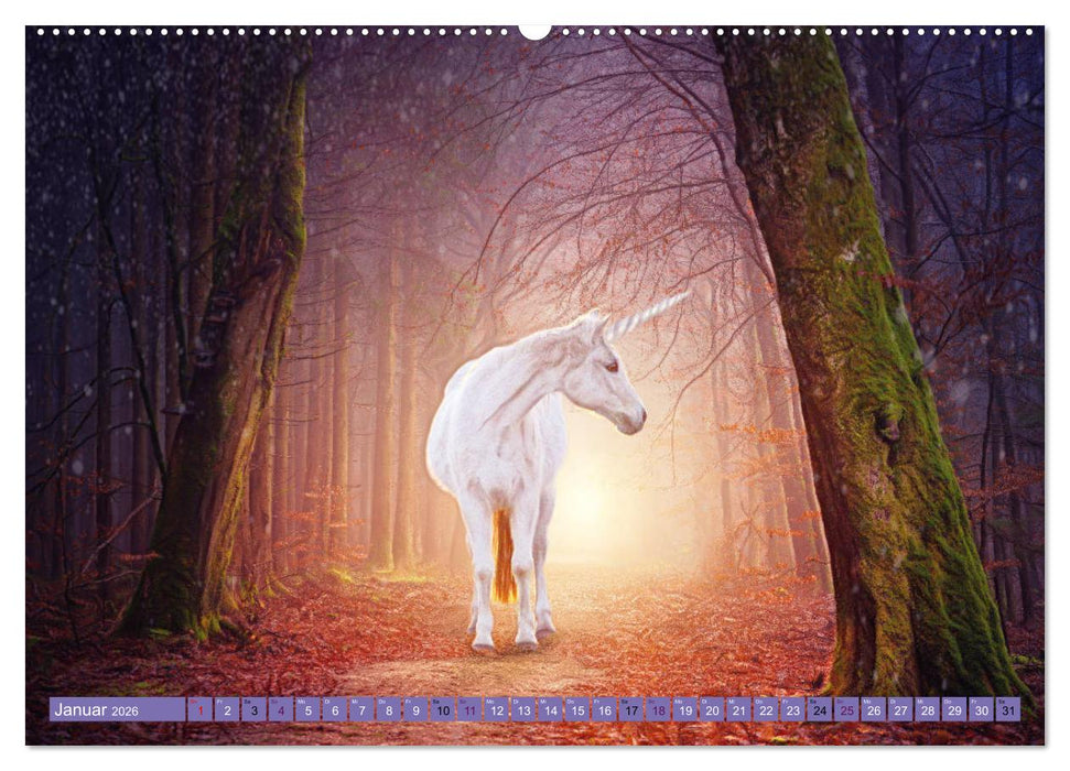 Einhorn Welt - verträumte Einhornbilder (CALVENDO Wandkalender 2026)