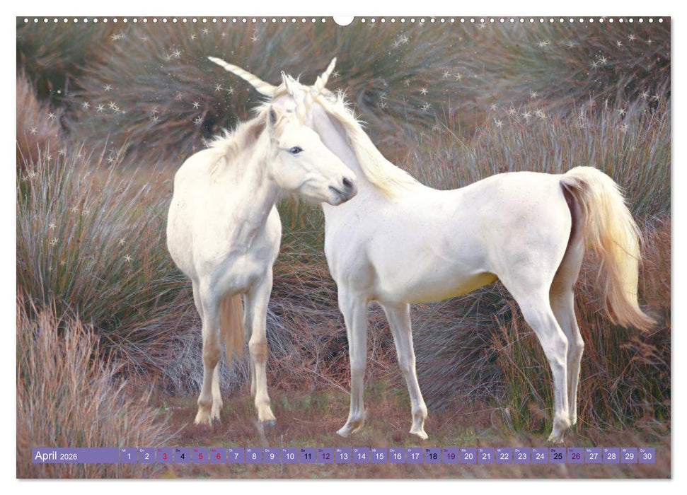 Einhorn Welt - verträumte Einhornbilder (CALVENDO Wandkalender 2026)