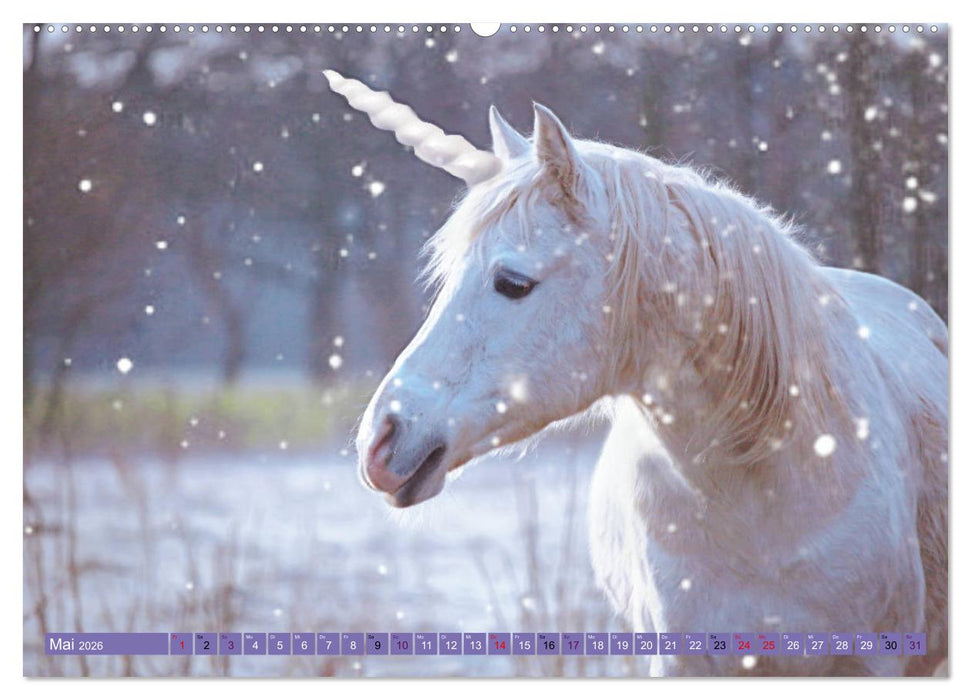 Einhorn Welt - verträumte Einhornbilder (CALVENDO Wandkalender 2026)