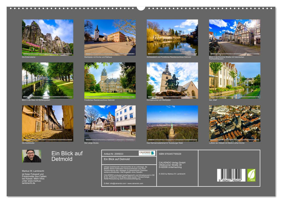 Ein Blick auf Detmold (CALVENDO Premium Wandkalender 2026)