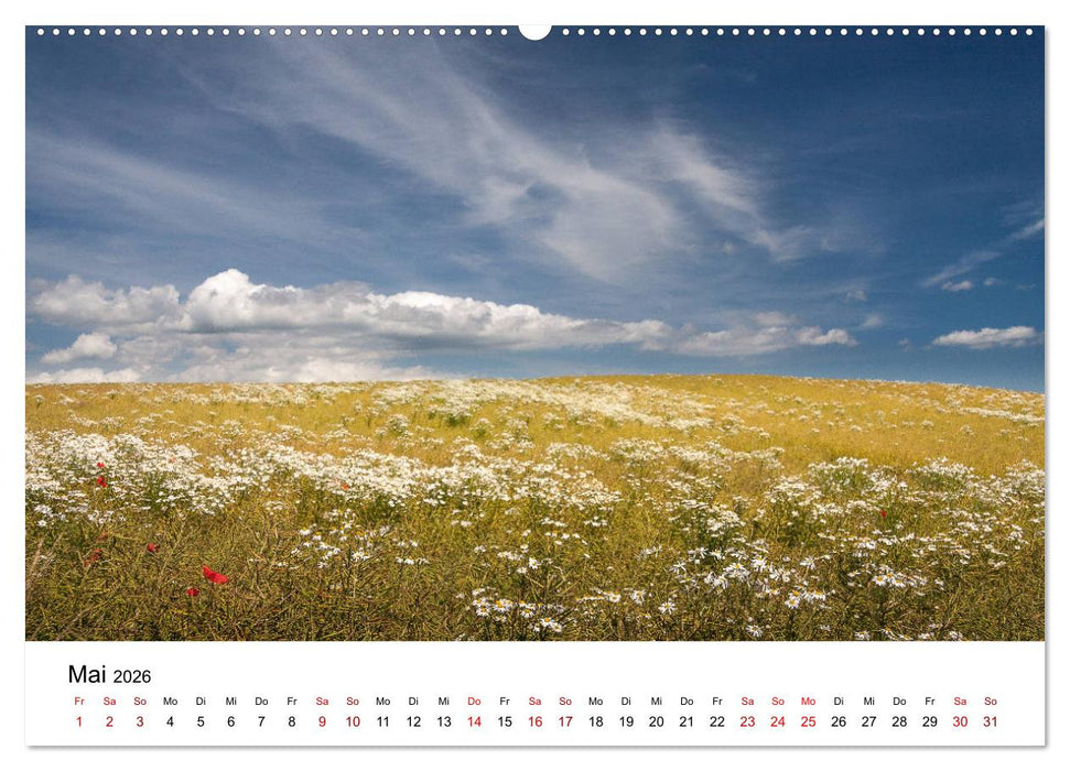 Traumhaftes Rügen (CALVENDO Premium Wandkalender 2026)