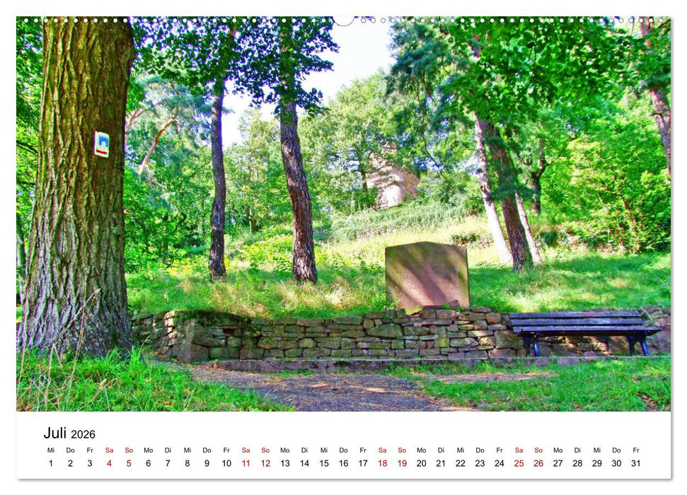 Heidelberg - Heiligenberg und Philosophenweg (CALVENDO Premium Wandkalender 2026)