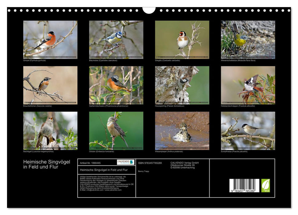 Heimische Singvögel in Feld und Flur (CALVENDO Wandkalender 2026)
