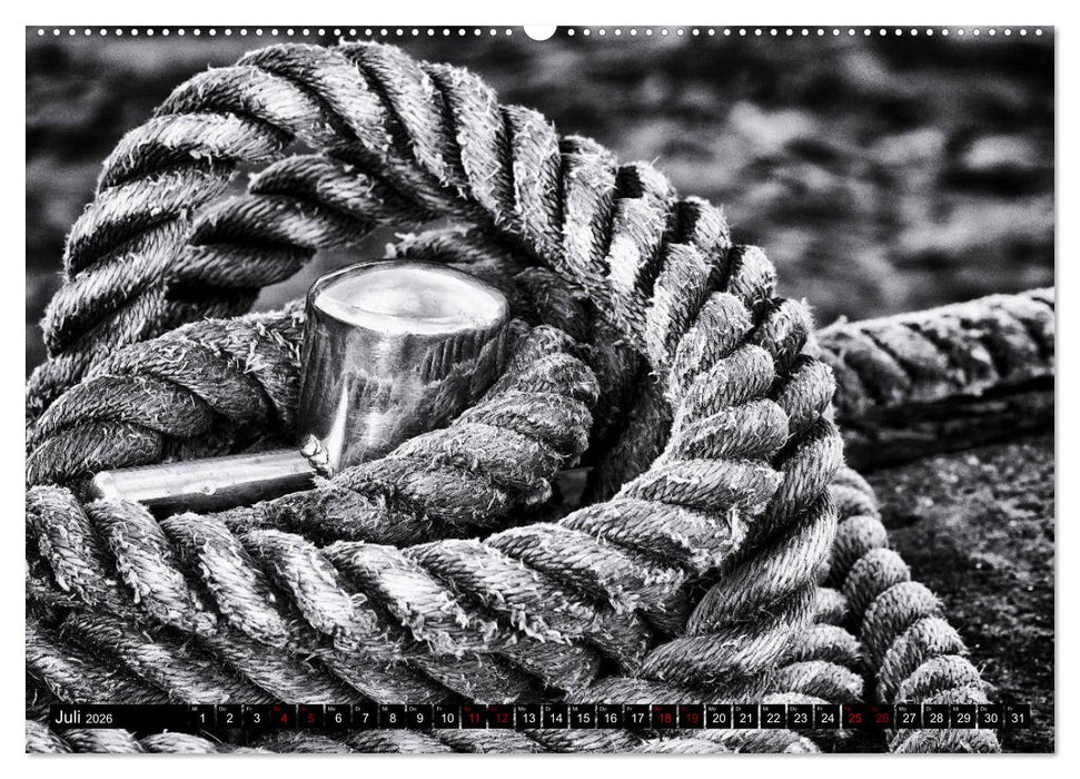 Ein Blick auf Ostseebad Damp (CALVENDO Premium Wandkalender 2026)