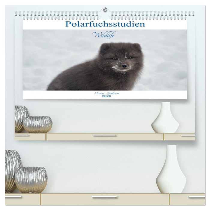 Polarfuchsstudien Wildlife (CALVENDO Premium Wandkalender 2026)