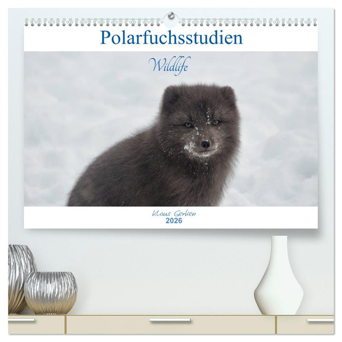 Polarfuchsstudien Wildlife (CALVENDO Premium Wandkalender 2026)