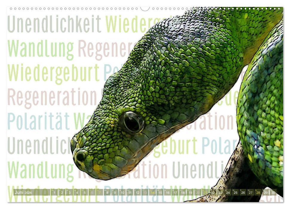 Mein wildes Krafttier und seine spirituellen Werte. (CALVENDO Premium Wandkalender 2026)