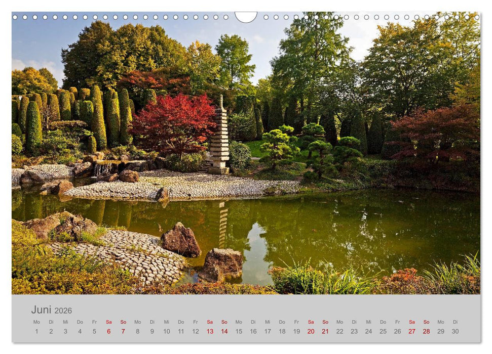 Bonn Die Stadt am Rhein (CALVENDO Wandkalender 2026)