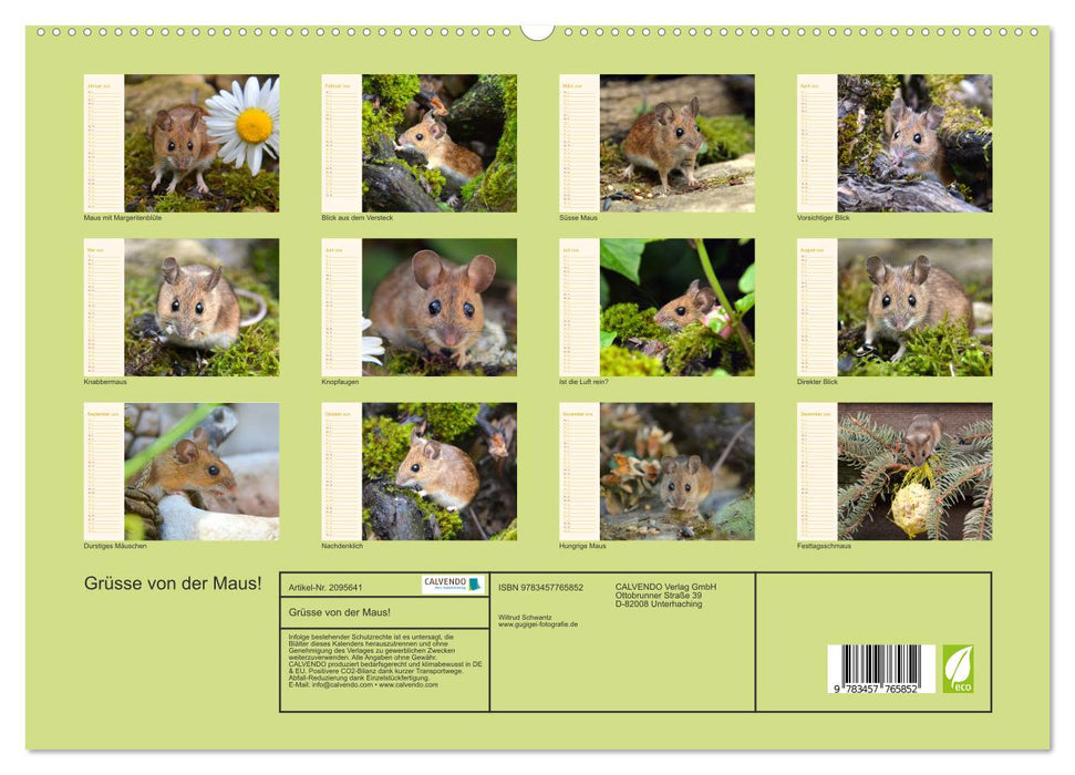 Grüsse von der Maus! (CALVENDO Premium Wandkalender 2026)
