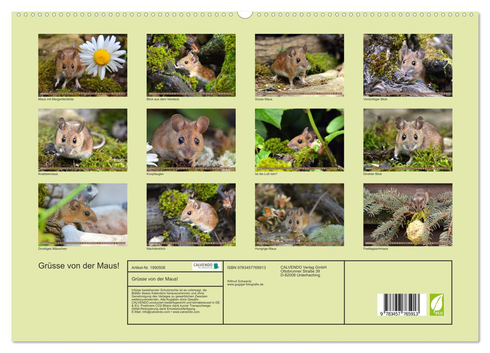 Grüsse von der Maus! (CALVENDO Premium Wandkalender 2026)