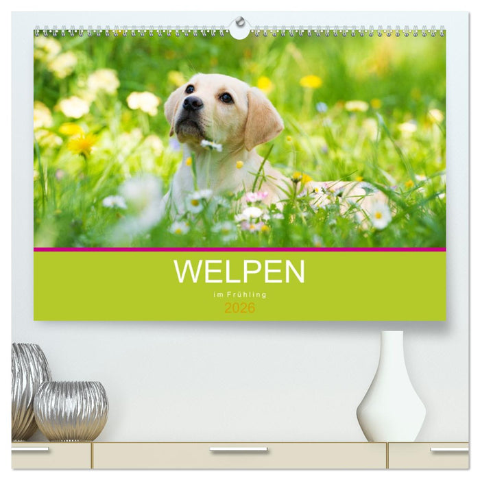 Welpen im Frühling (CALVENDO Premium Wandkalender 2026)