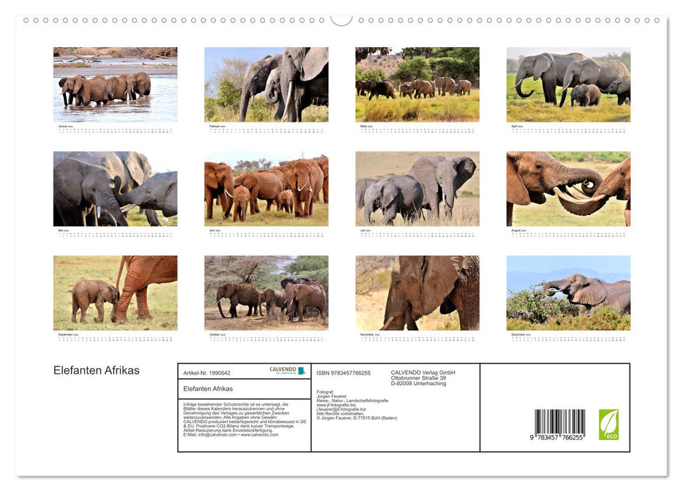 Elefanten Afrikas (CALVENDO Premium Wandkalender 2026)