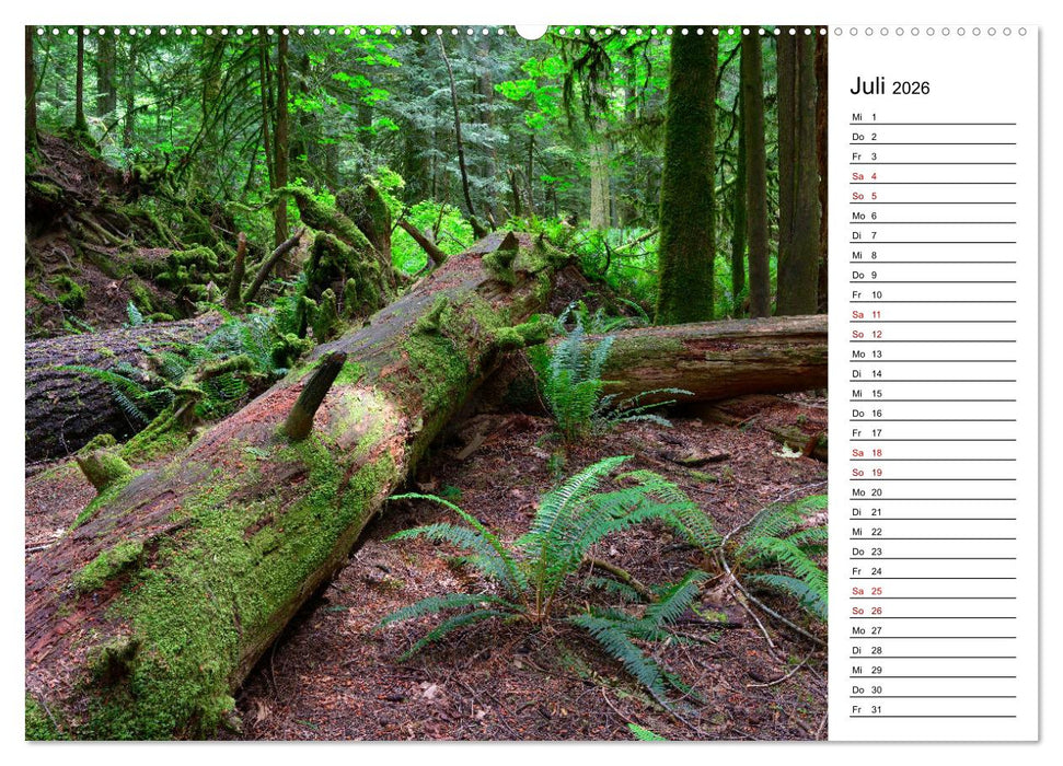 Vancouver Island - Perle im Kanadischen Westen (CALVENDO Premium Wandkalender 2026)