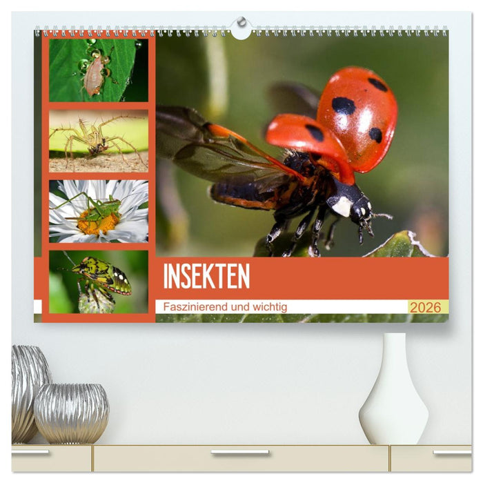 Insekten. Faszinierend und wichtig (CALVENDO Premium Wandkalender 2026)