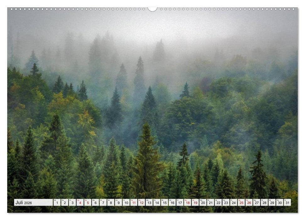 Göttererwachen. Die Natur im mystischen Nebel (CALVENDO Premium Wandkalender 2026)