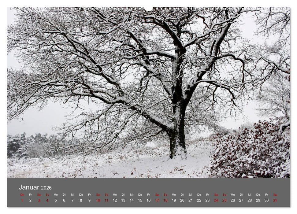 Wahner Heide - Aussichten und Begegnungen (CALVENDO Premium Wandkalender 2026)