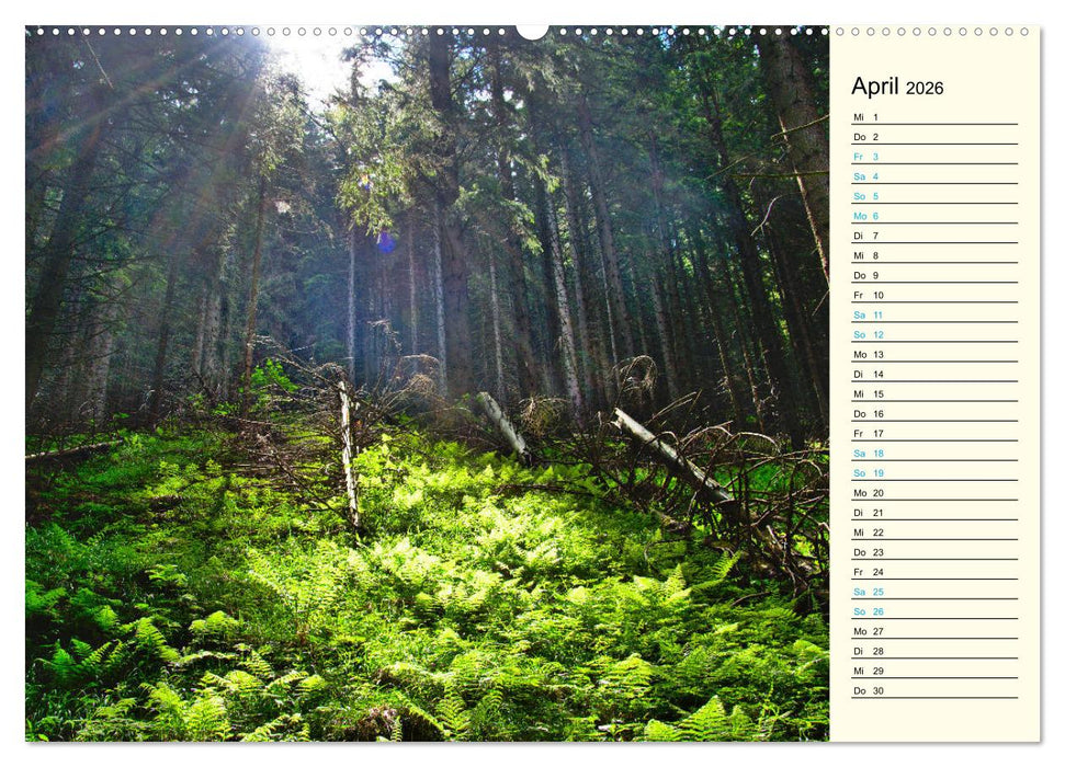 Slowakei - Abseits der Hohen Tatra (CALVENDO Wandkalender 2026)