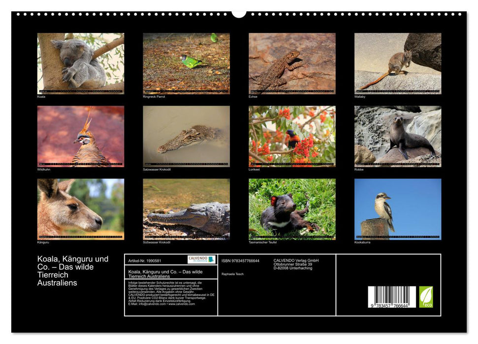 Koala, Känguru und Co. – Das wilde Tierreich Australiens (CALVENDO Premium Wandkalender 2026)