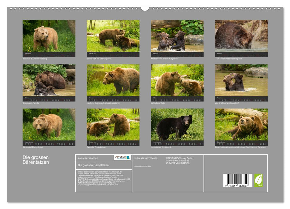 Die grossen Bärentatzen (CALVENDO Premium Wandkalender 2026)